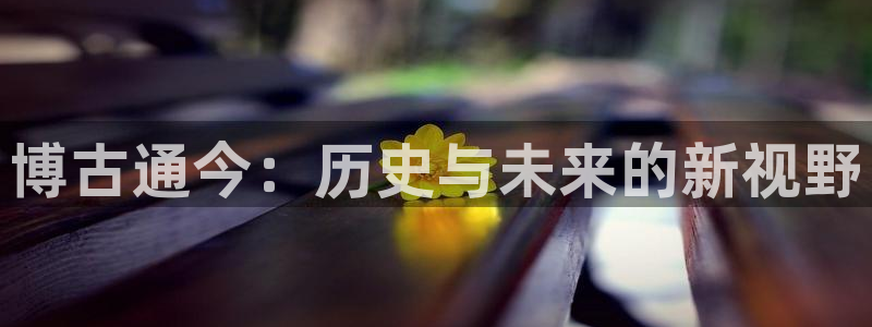 yy易游：博古通今：历史与未来的新视野