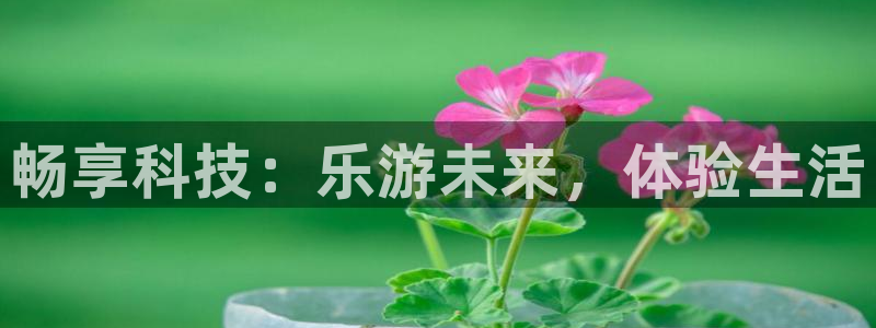 yy易游平台：畅享科技：乐游未来，体验生活