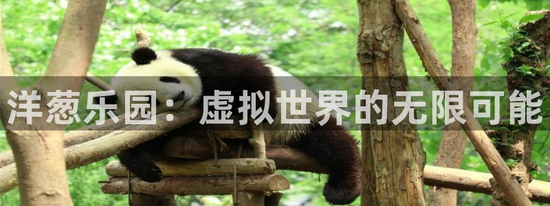yy易游vip：洋葱乐园：虚拟世界的无限可能