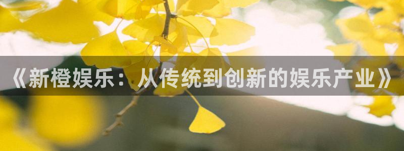 米乐yy易游m6网址：《新橙娱乐：从传统到创新的娱乐产业》