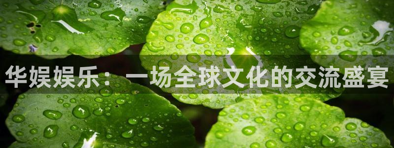 yy易游：华娱娱乐：一场全球文化的交流盛宴