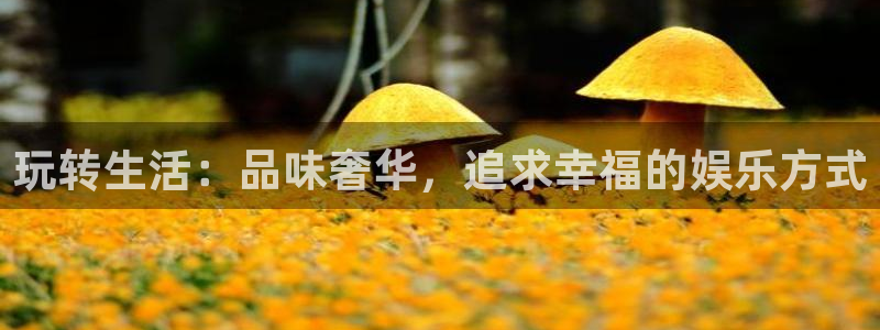 米乐yy易游：玩转生活：品味奢华，追求幸福的娱乐方式