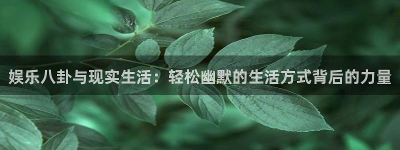 米乐yy易游网址：娱乐八卦与现实生活：轻松幽默的生活方式背后的力量